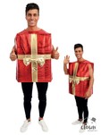 DEGUISEMENT PAQUET CADEAU