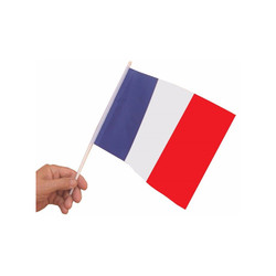 drapeau francais 15x21