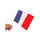 drapeau francais 15x21