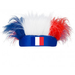 COIFFURE BLEU BLANC ROUGE 