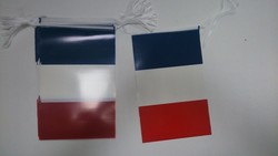 GUIRLANDE DRAPEAUX FRANCE PLASTIQUE