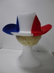 CHAPEAU COW-BOY TRICOLORE 